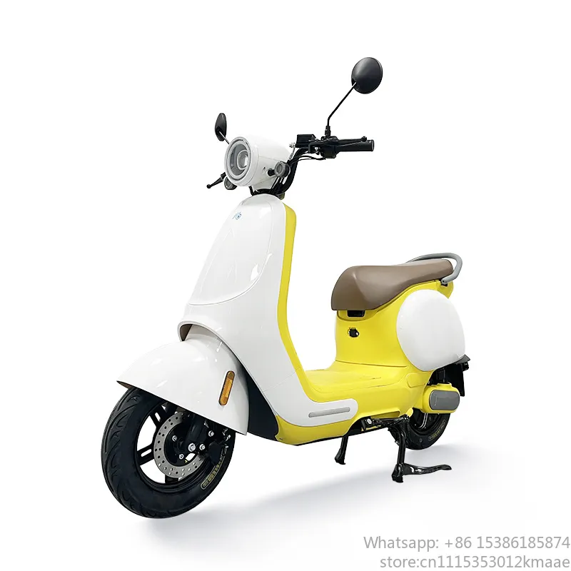 Motocicleta eléctrica de 1200  - Electric Scooter Adults reseña y precio