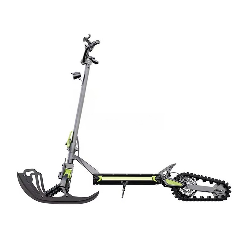 Nueva llegada Moto de nieve el - Electric Scooter reseña y precio